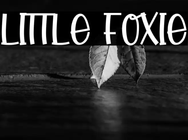 Little Foxie Example 2
