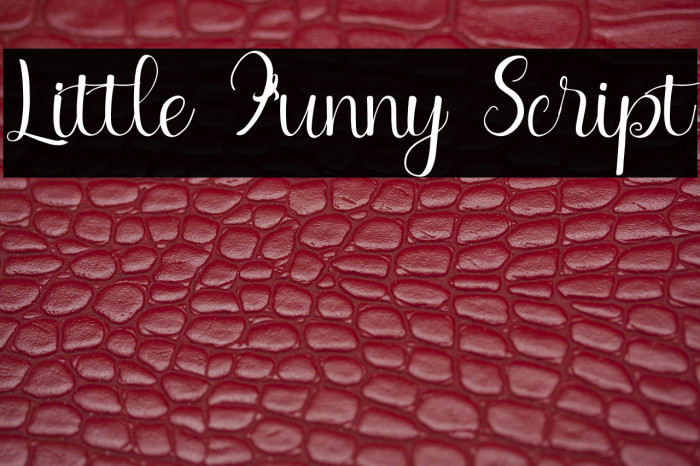 Little Funny Script Example 2