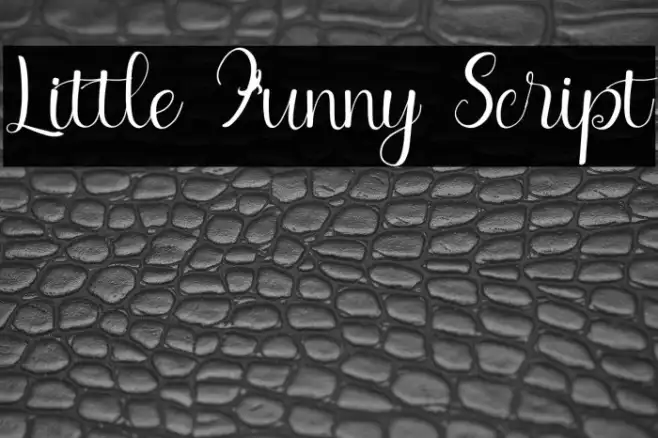 Little Funny Script Example 2