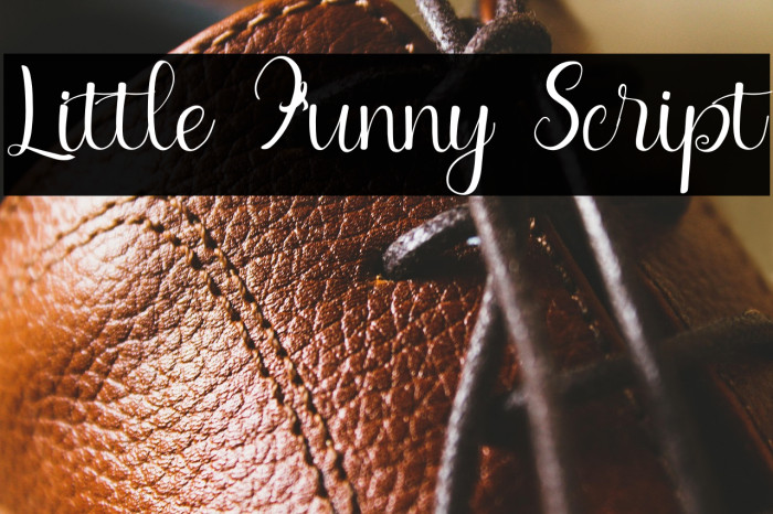 Little Funny Script Example 3