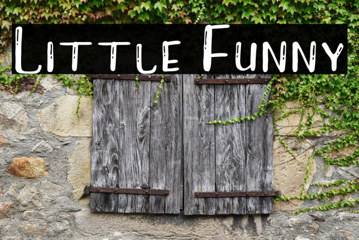 Little Funny Example 3