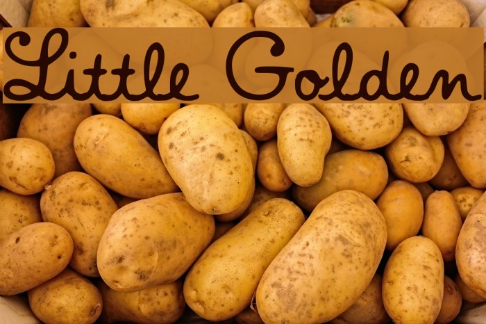 Little Golden Font examples