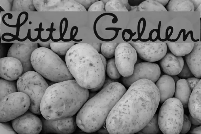 Little Golden Example 1