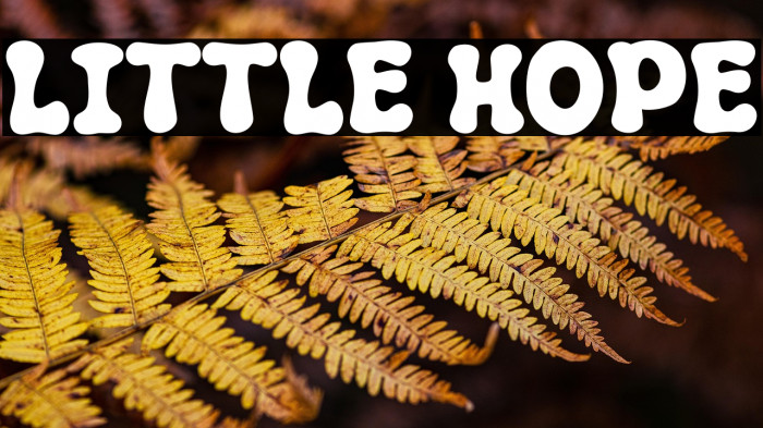 Little Hope Example 2