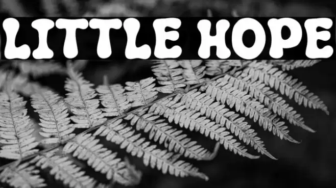 Little Hope 字体 examples
