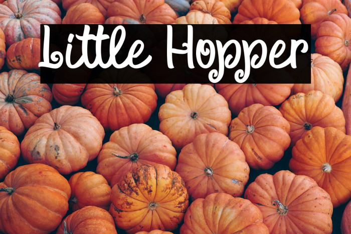 Little Hopper Example 2