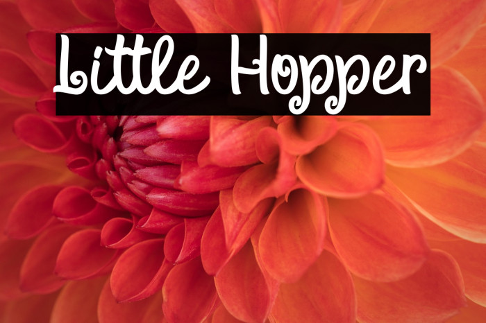 Little Hopper Example 3