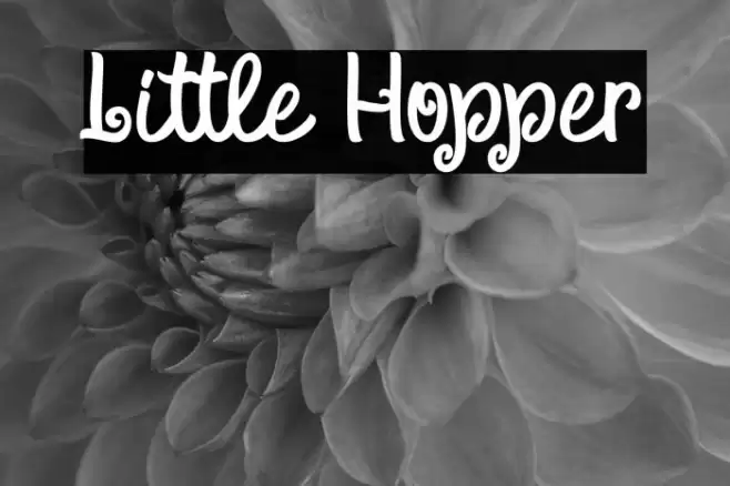 Little Hopper Font examples