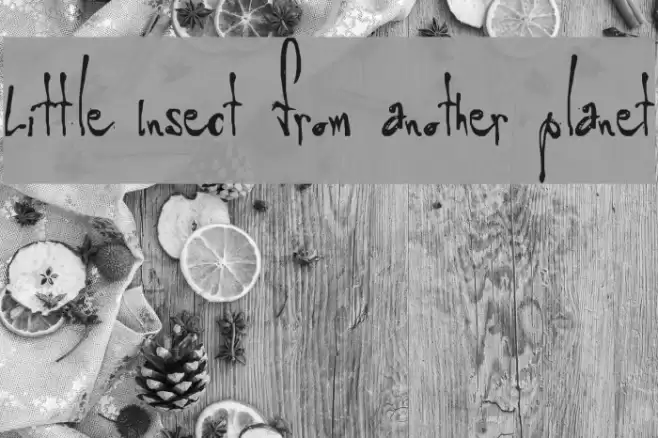 Little Insect from another planet Font examples