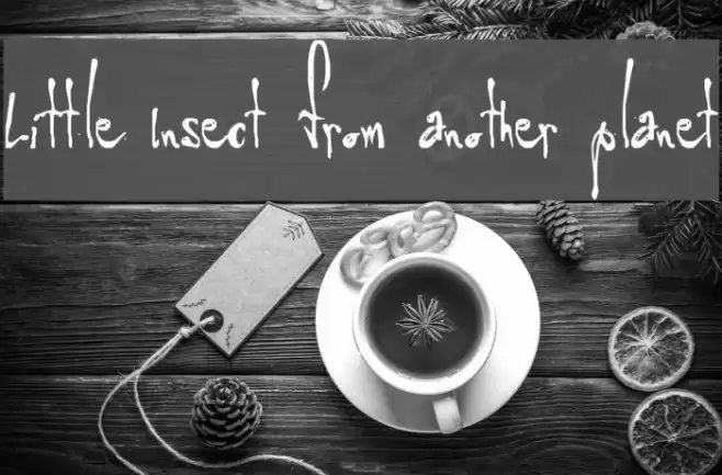 Little Insect from another planet Font examples