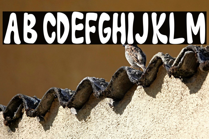 Little Jelly Example 1