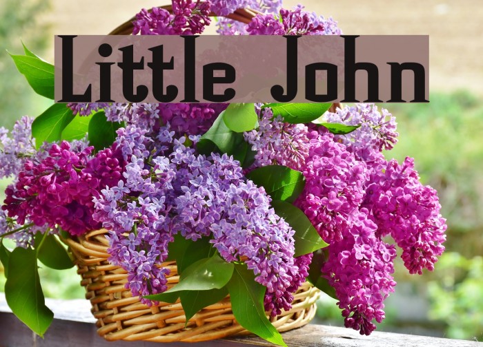 Little John Font examples