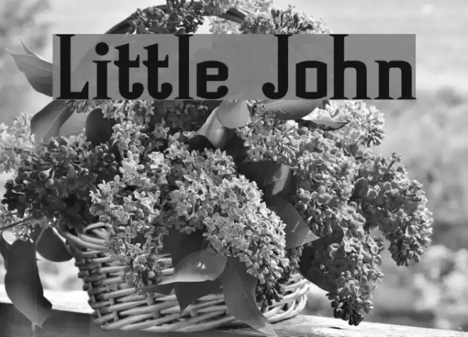 Little John Font examples