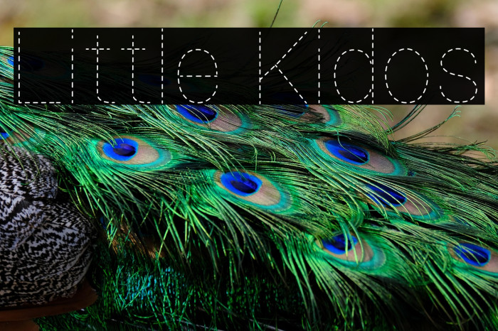 Little Kidos Example 1