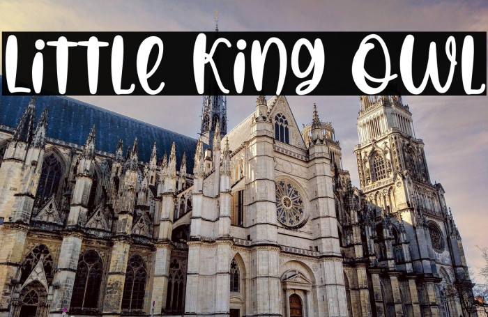 Little King Owl Example 1