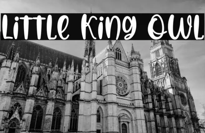 Little King Owl Example 1