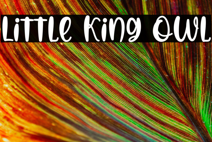 Little King Owl Example 2