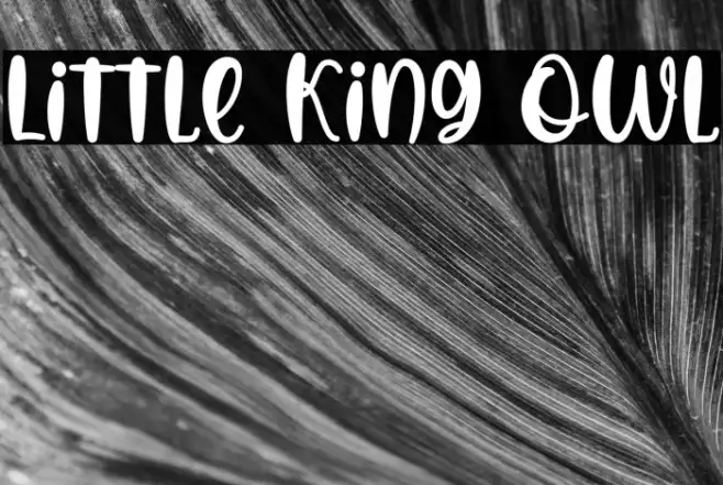 Little King Owl Example 2