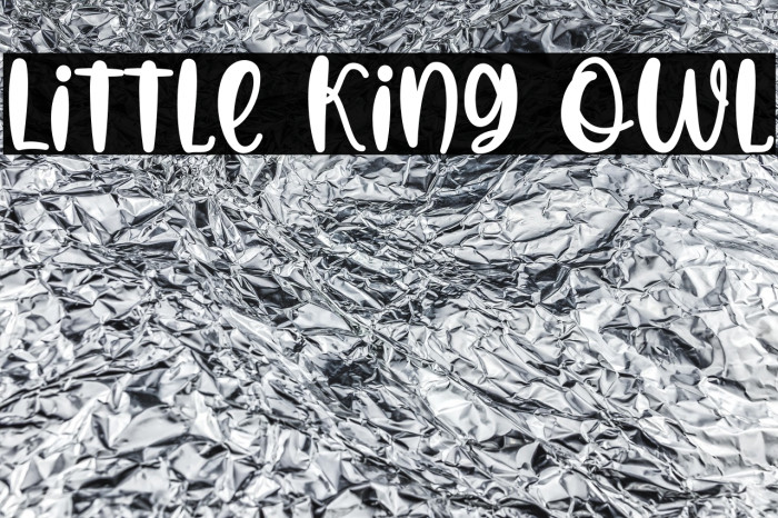 Little King Owl Example 3