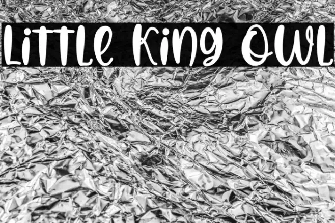 Little King Owl Example 3