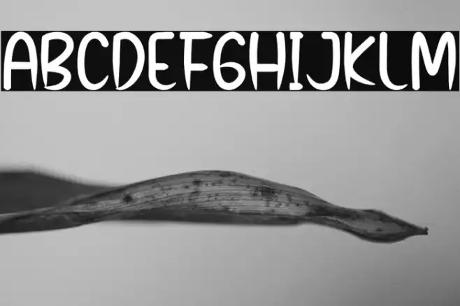 Little King Example 2