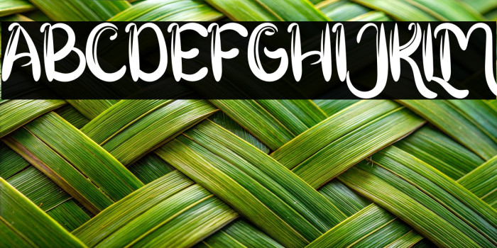 Little Kitten Example 3