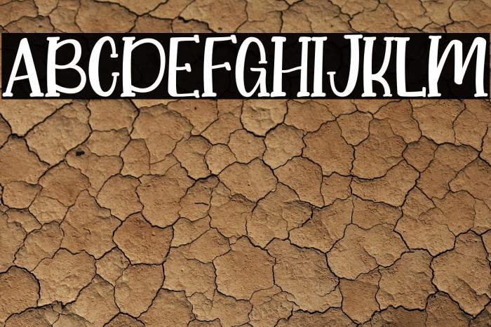 Little Koala Example 1