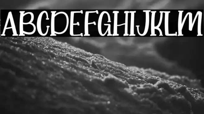 Little Koala Font examples