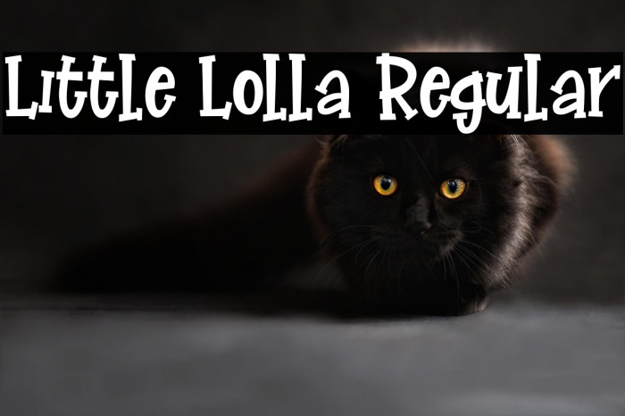 Little Lolla Regular Example 1