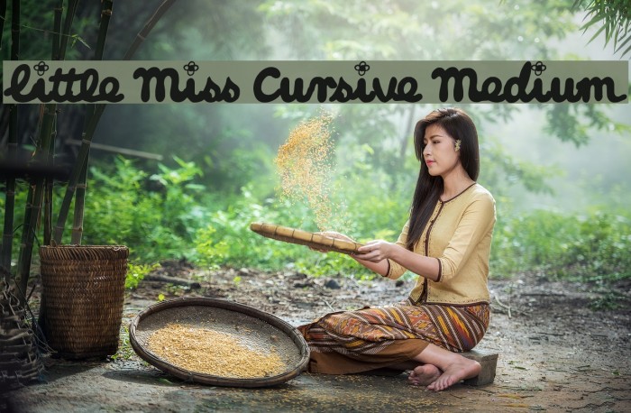 Little Miss Cursive Medium Font examples