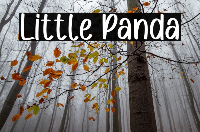 Little Panda Example 1