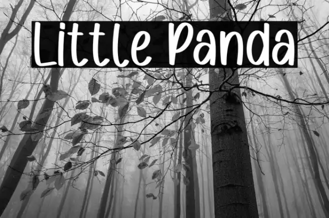 Little Panda Example 1