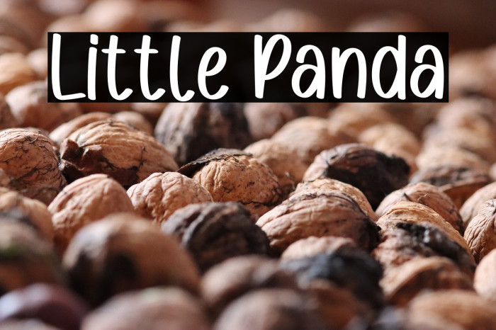 Little Panda Example 3