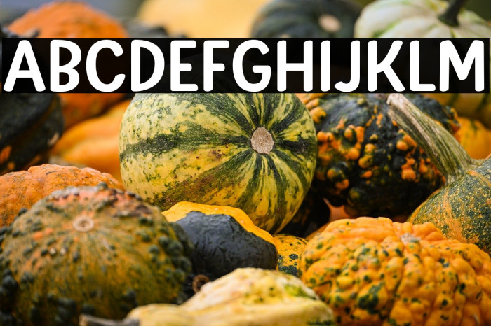 Little Pat Example 1