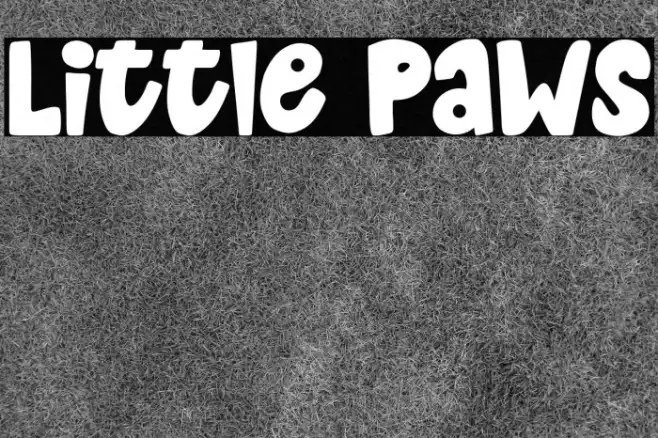Little Paws Example 1