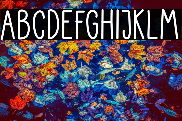 Little Pea - Demo Regular Example 2