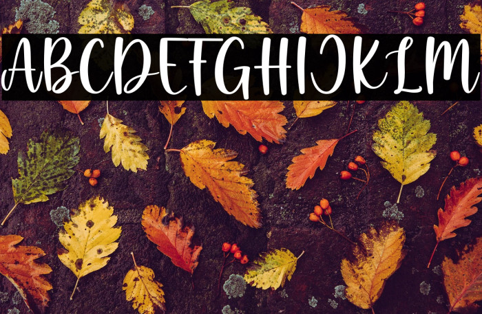 Little Penguin Example 2