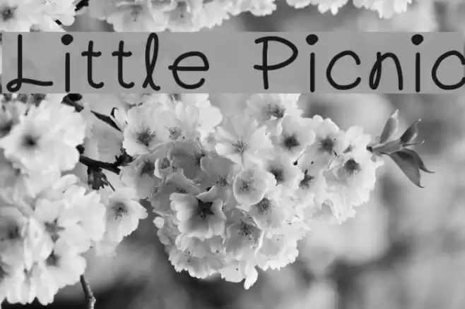 Little Picnic Font examples