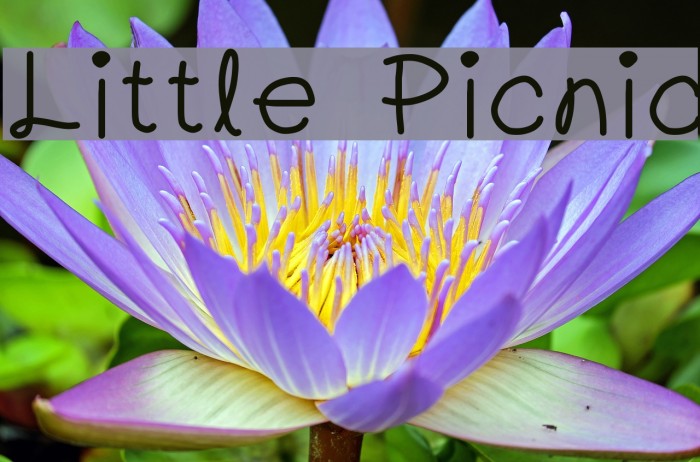 Little Picnic Font examples