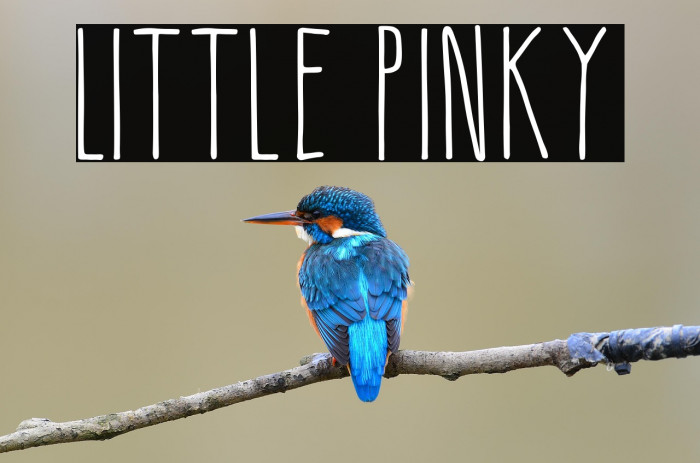 Little Pinky Example 1