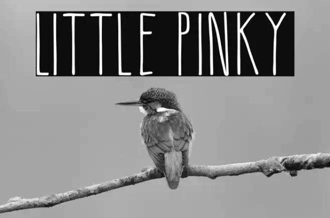 Little Pinky Example 1