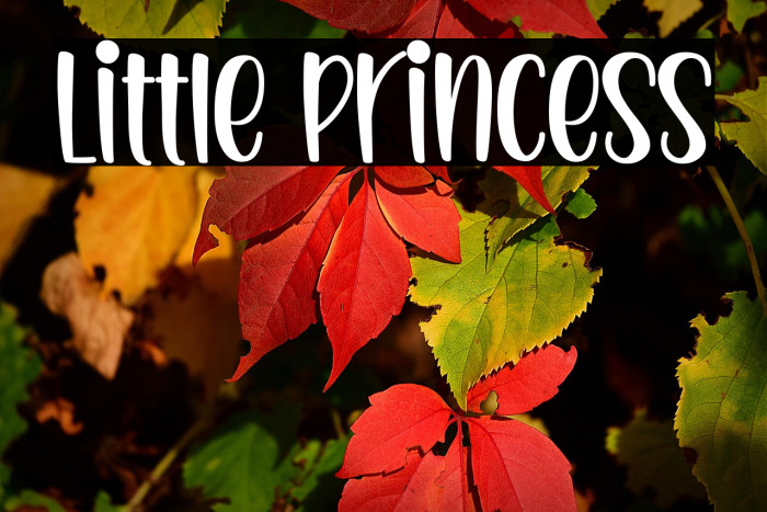 Little Princess Example 3