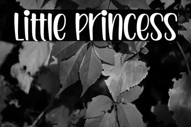 Little Princess Caratteri examples