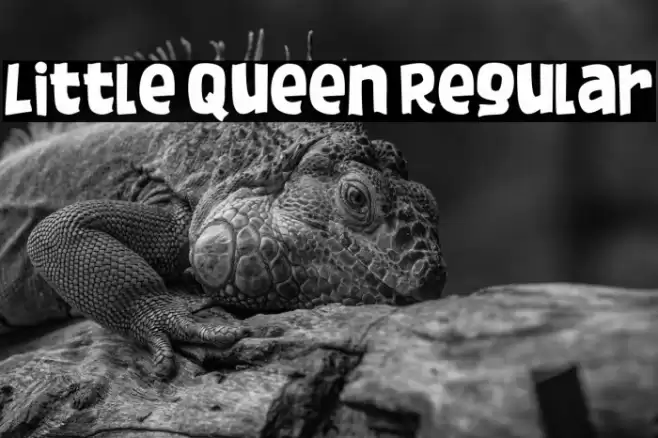 Little Queen Regular Font examples