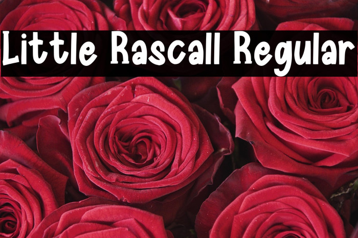 Little Rascall Regular Example 3