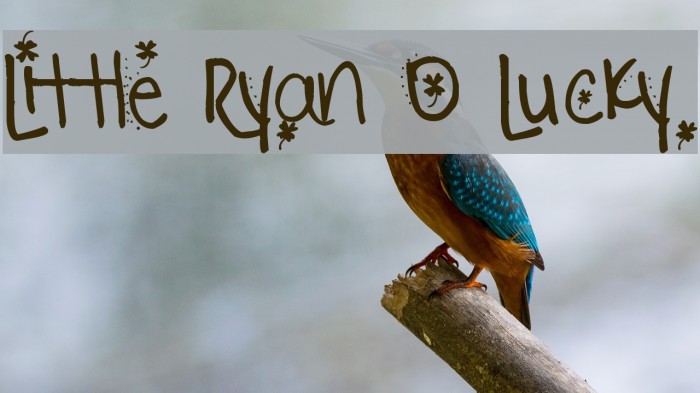 Little Ryan O Lucky Schriftart examples