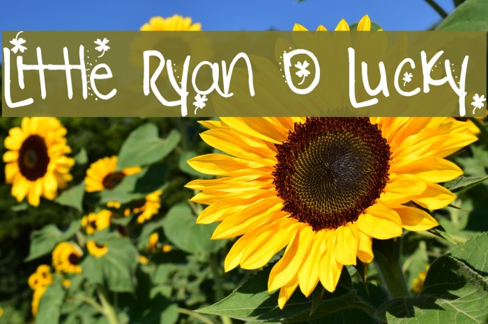 Little Ryan O Lucky Schriftart examples