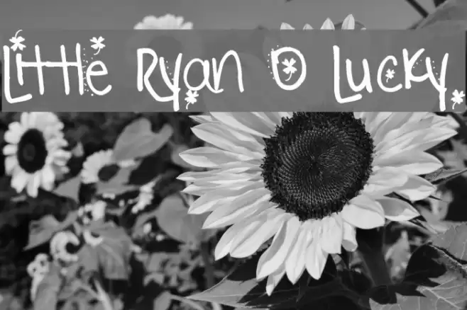 Little Ryan O Lucky Font examples