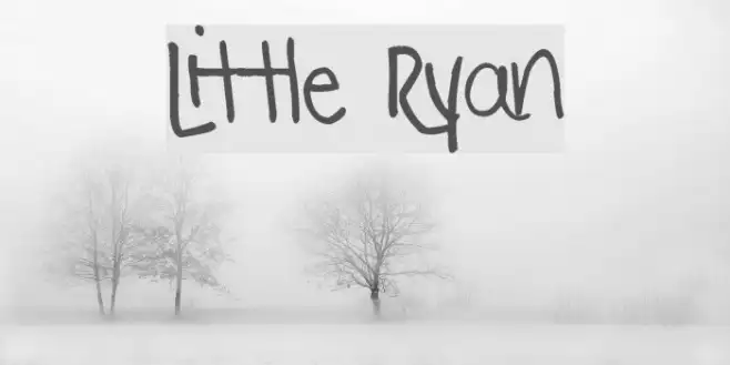 Little Ryan Example 2