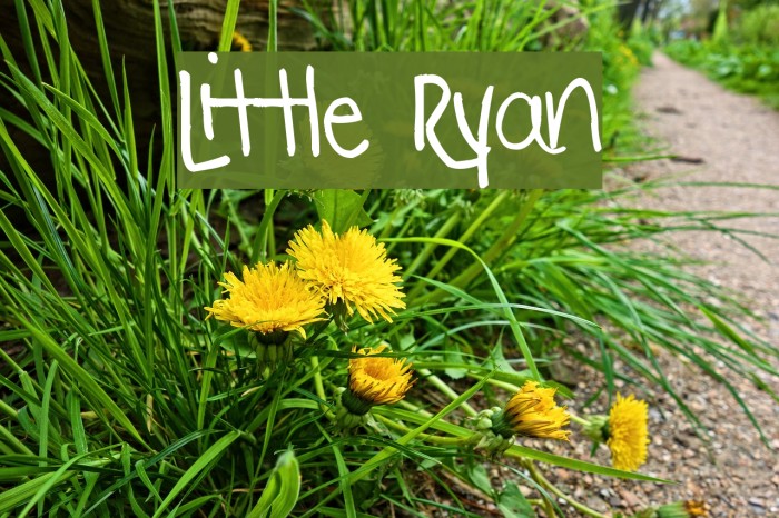 Little Ryan Font examples